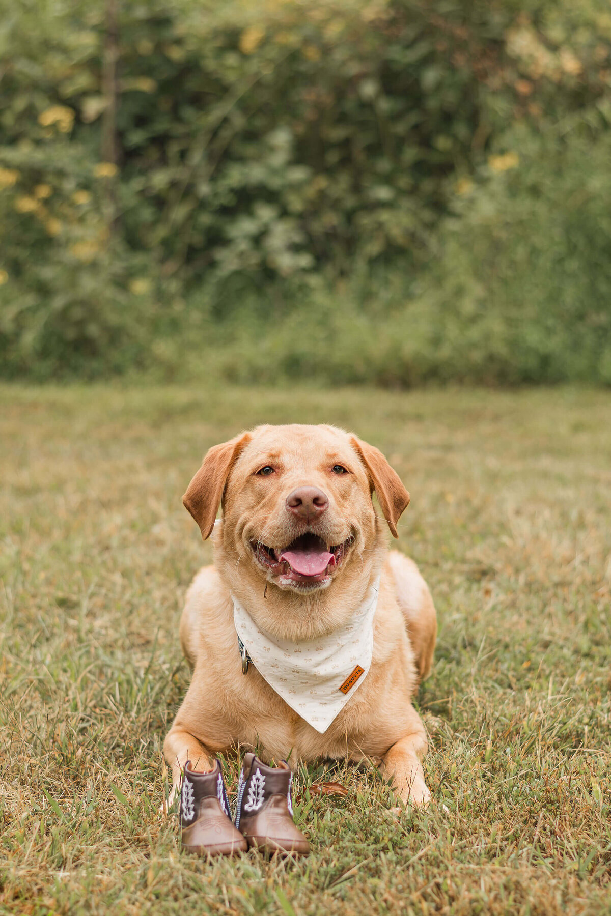 Pittsburgh-Family-Photographer-LLP-45