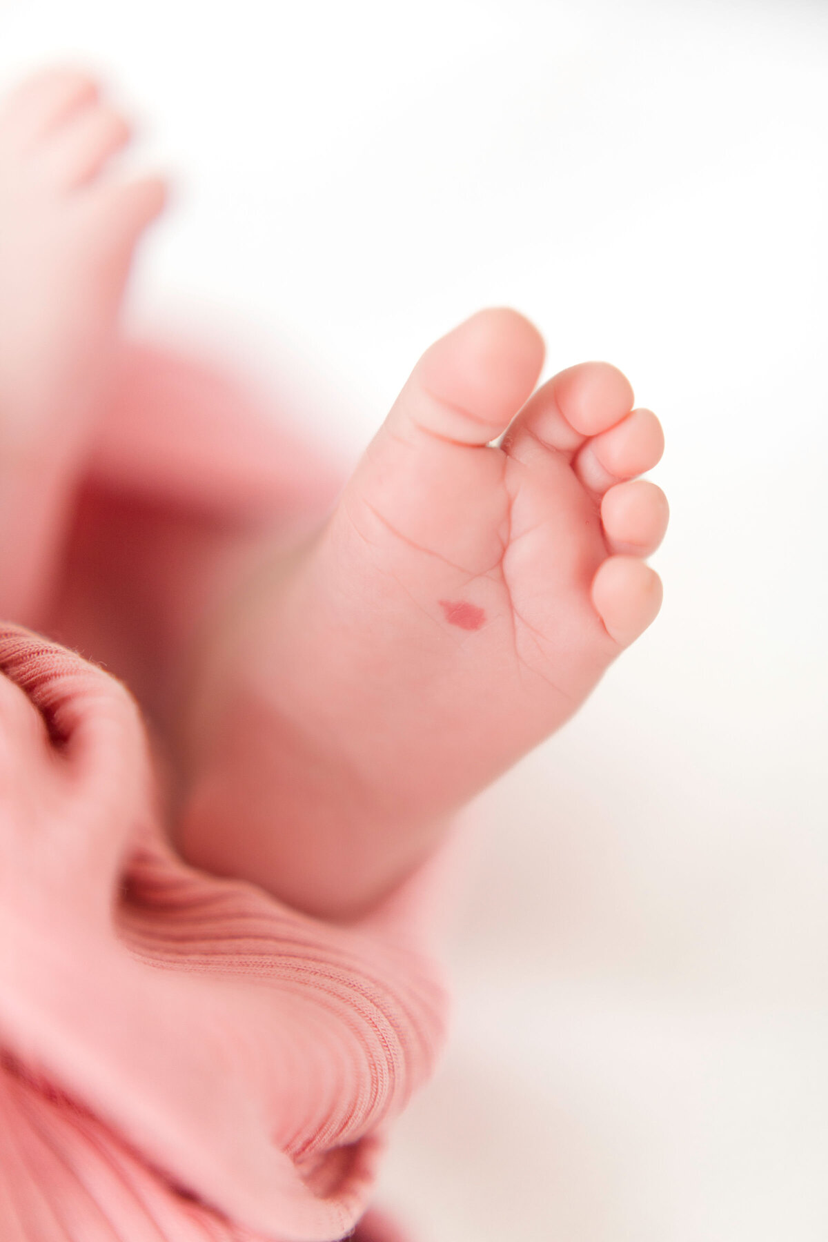 long island newborn photographer