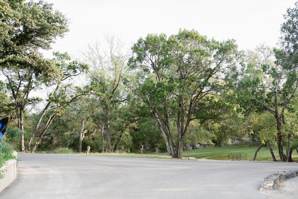 Things to do in Wimberley Messina Inn-34