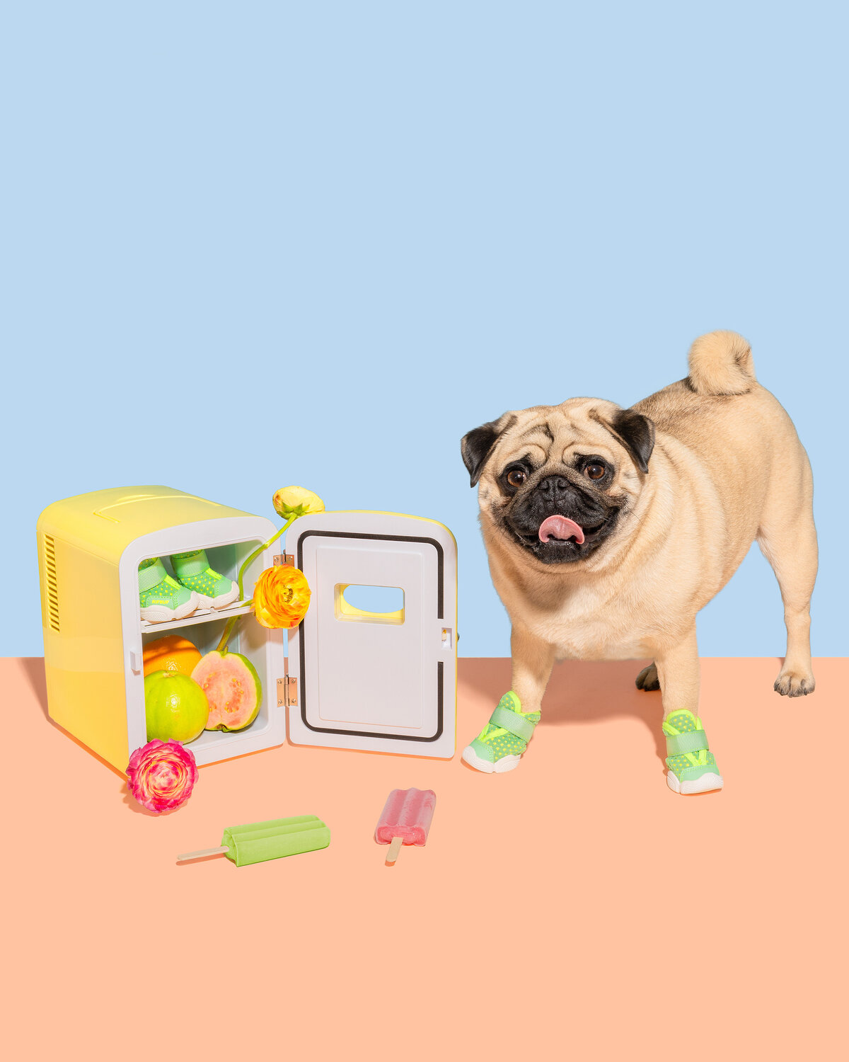 Guava fridge mango- rifruf - 04-22 4279 x 5349
