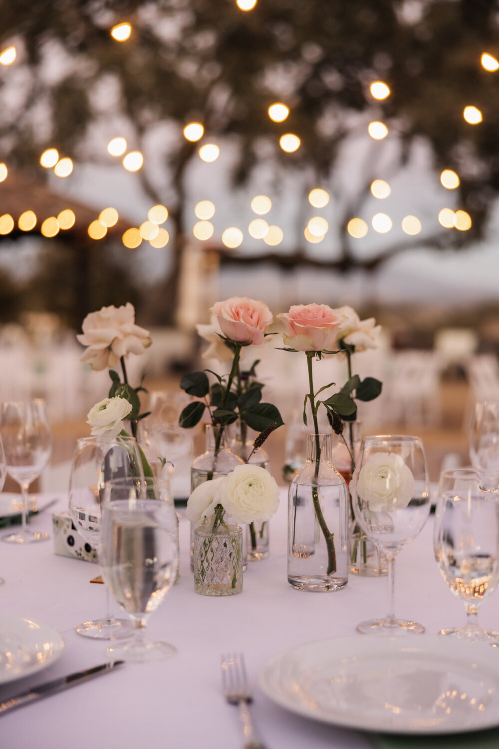 TrevorMorrisonPhoto_0047
