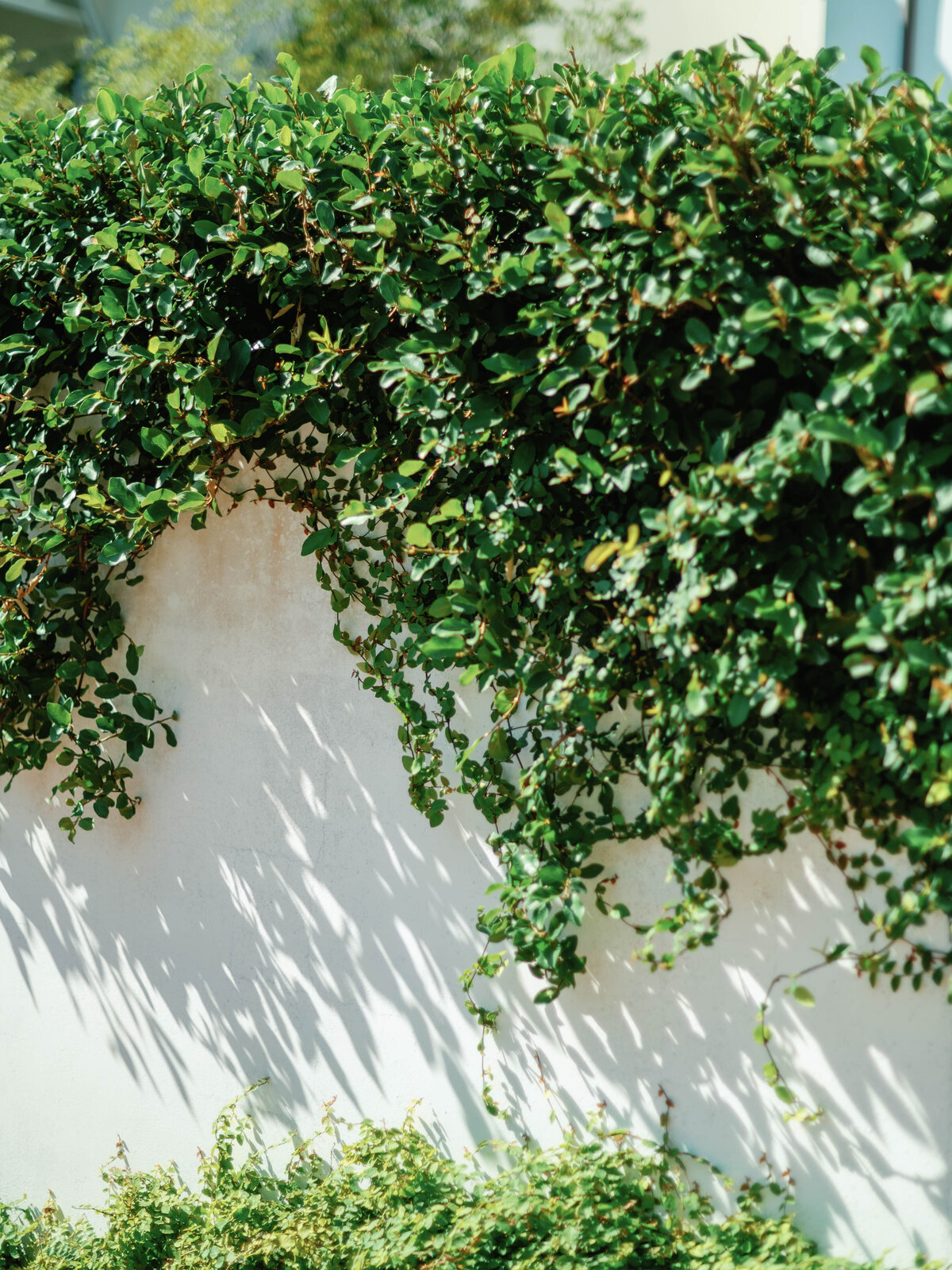 Casey&Rory-Welcome-49