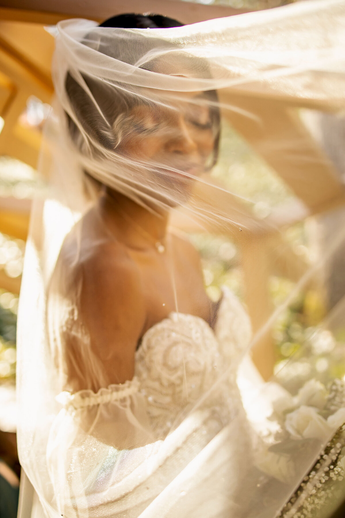 bridal portrait with her veil