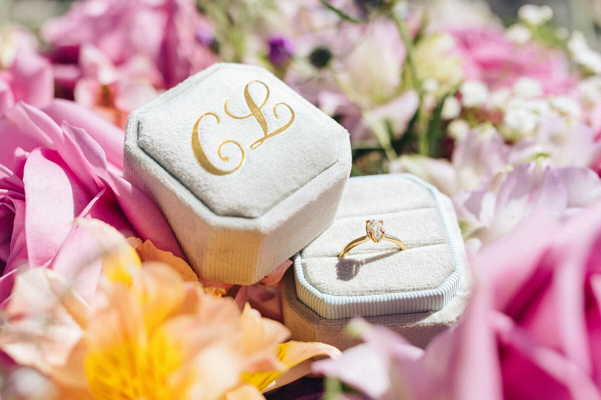 miranda-rose-photo-pass-a-grille-beach-proposal-chantilly-chic-celebrations-13