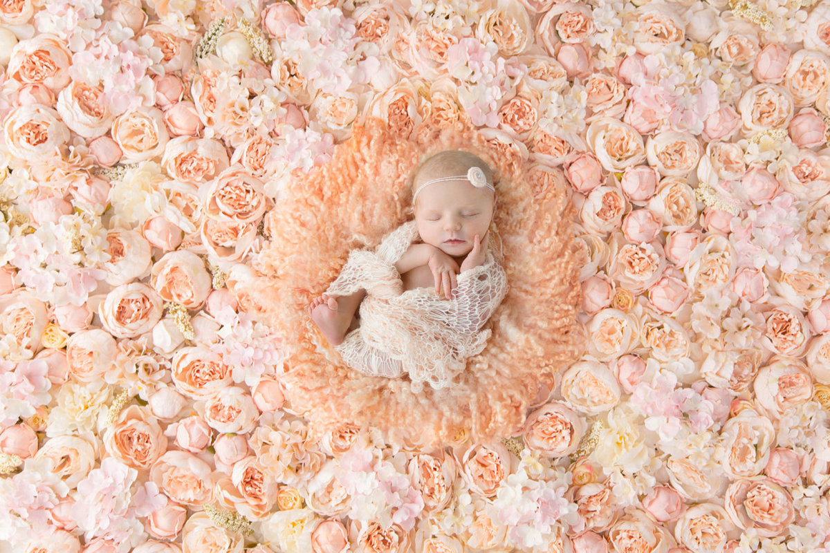 newborn in flowers245