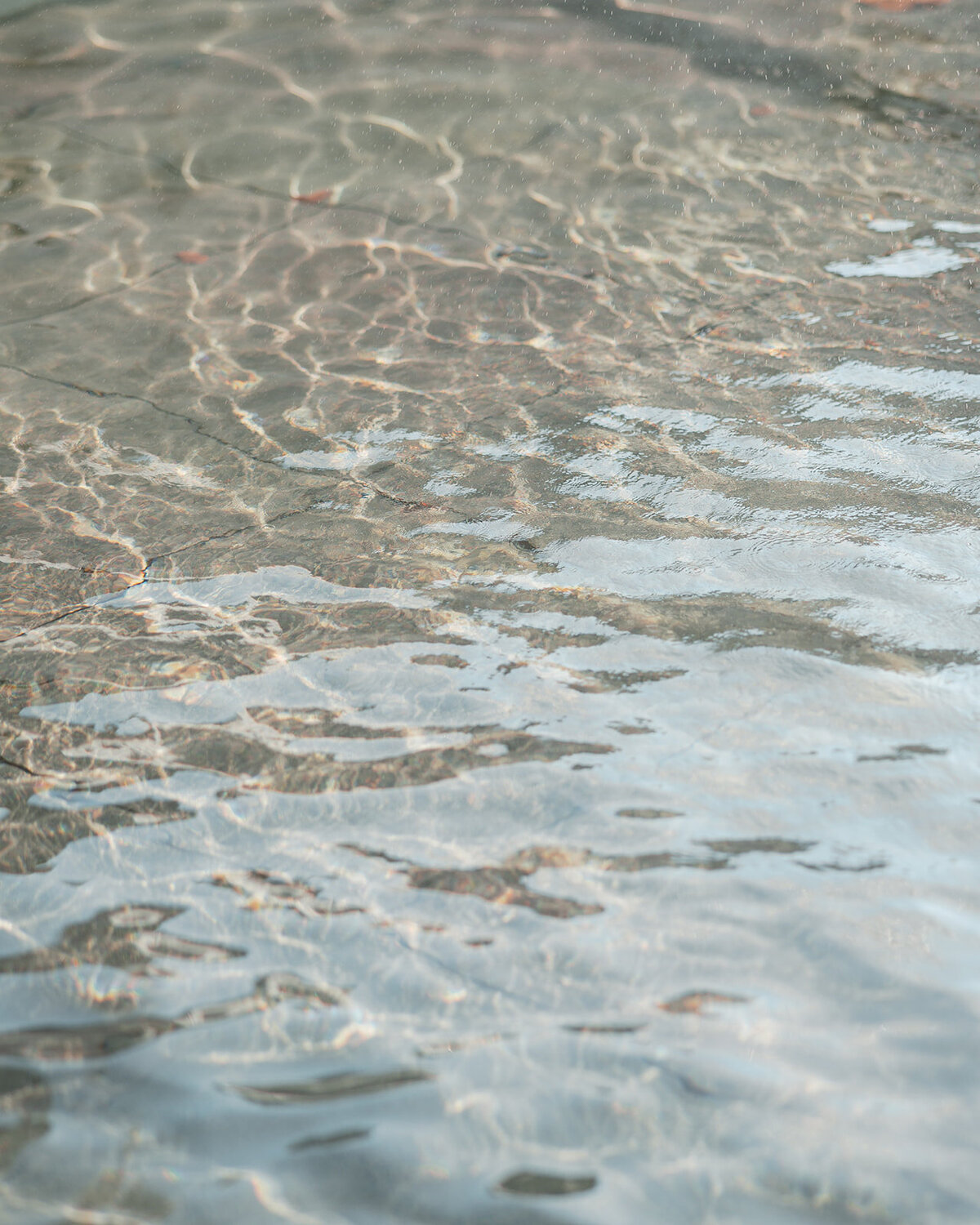 philadelphiaweddingphotographer-oliviacasey0054