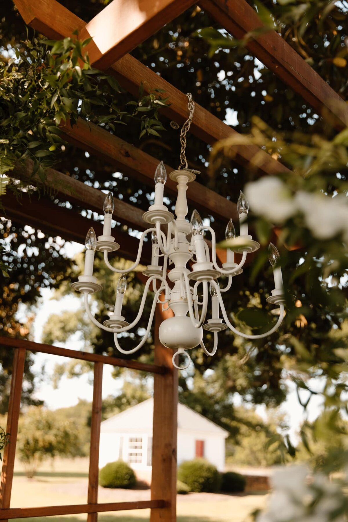 Ciara Young Photography7