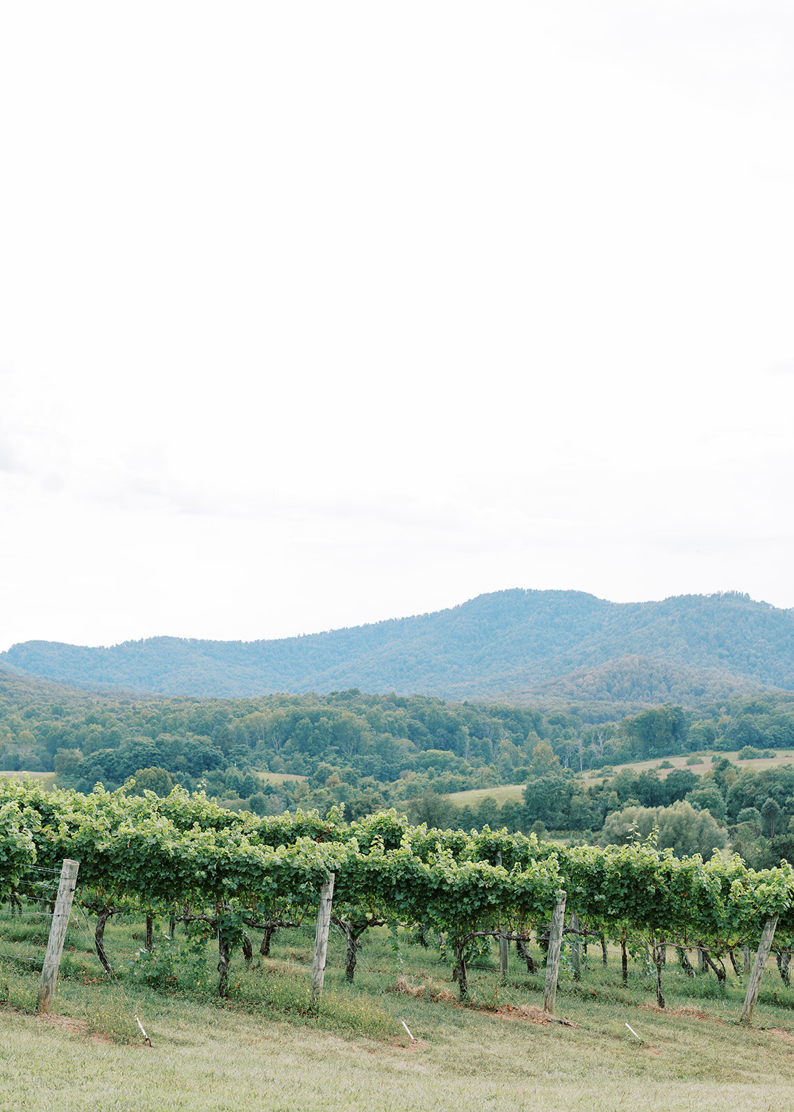 Pippin_Hill_Wedding_Photographer_Natalie_Jayne_Photography_-0750
