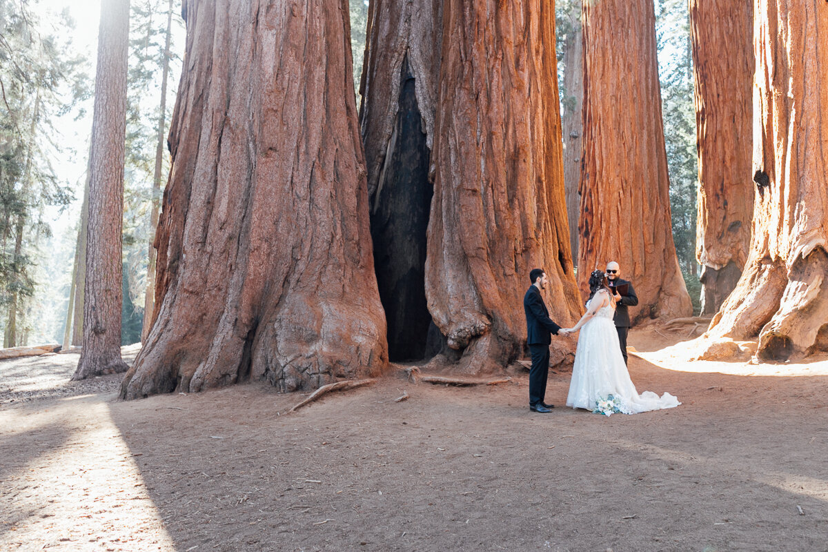 californiaelopement-sequoianationalparkelopement-redwoodelopement-16