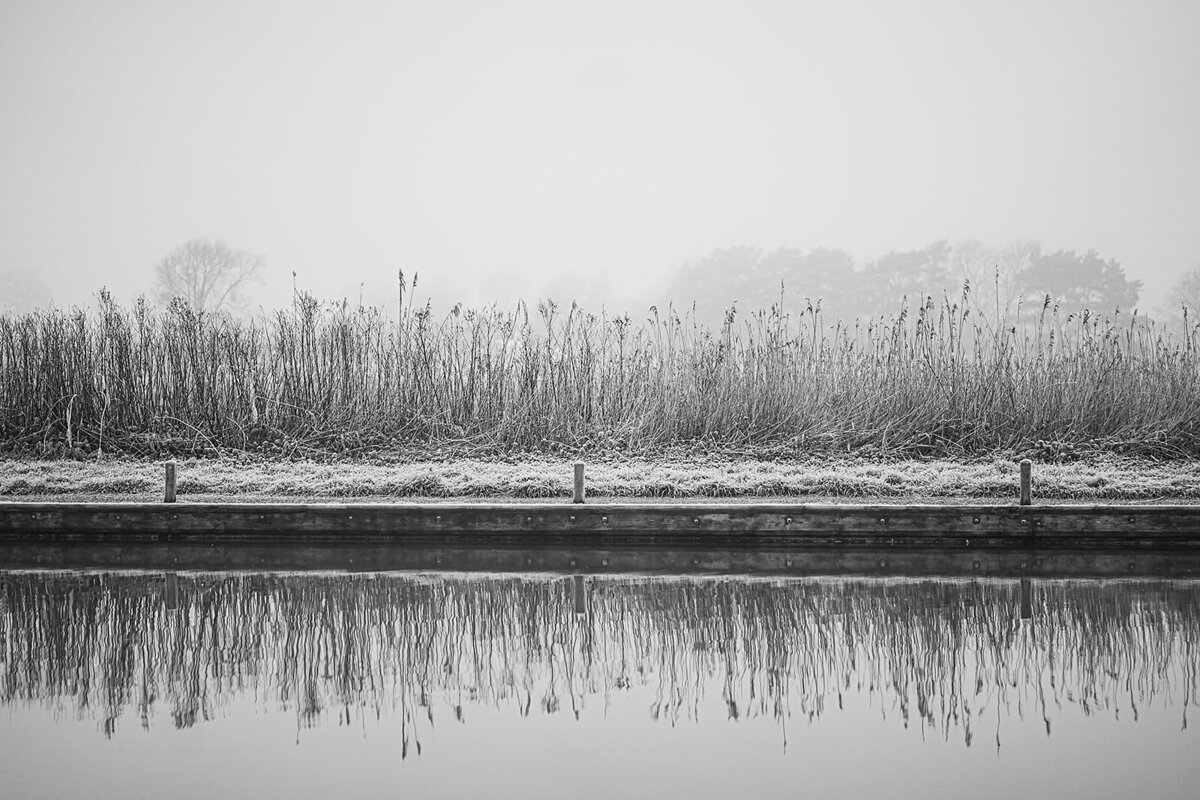 frost 009_websize