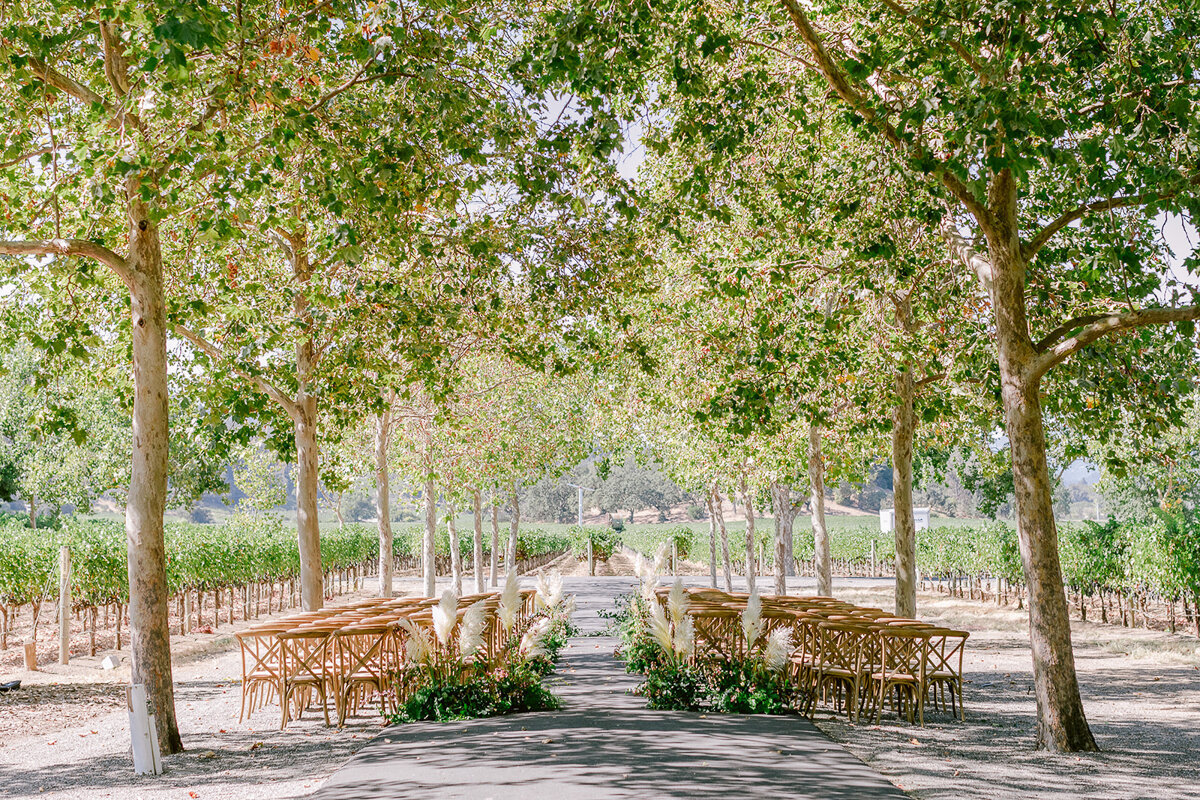 Beaulieu-gardens-wedding-napa-valley-destination-wedding-0052