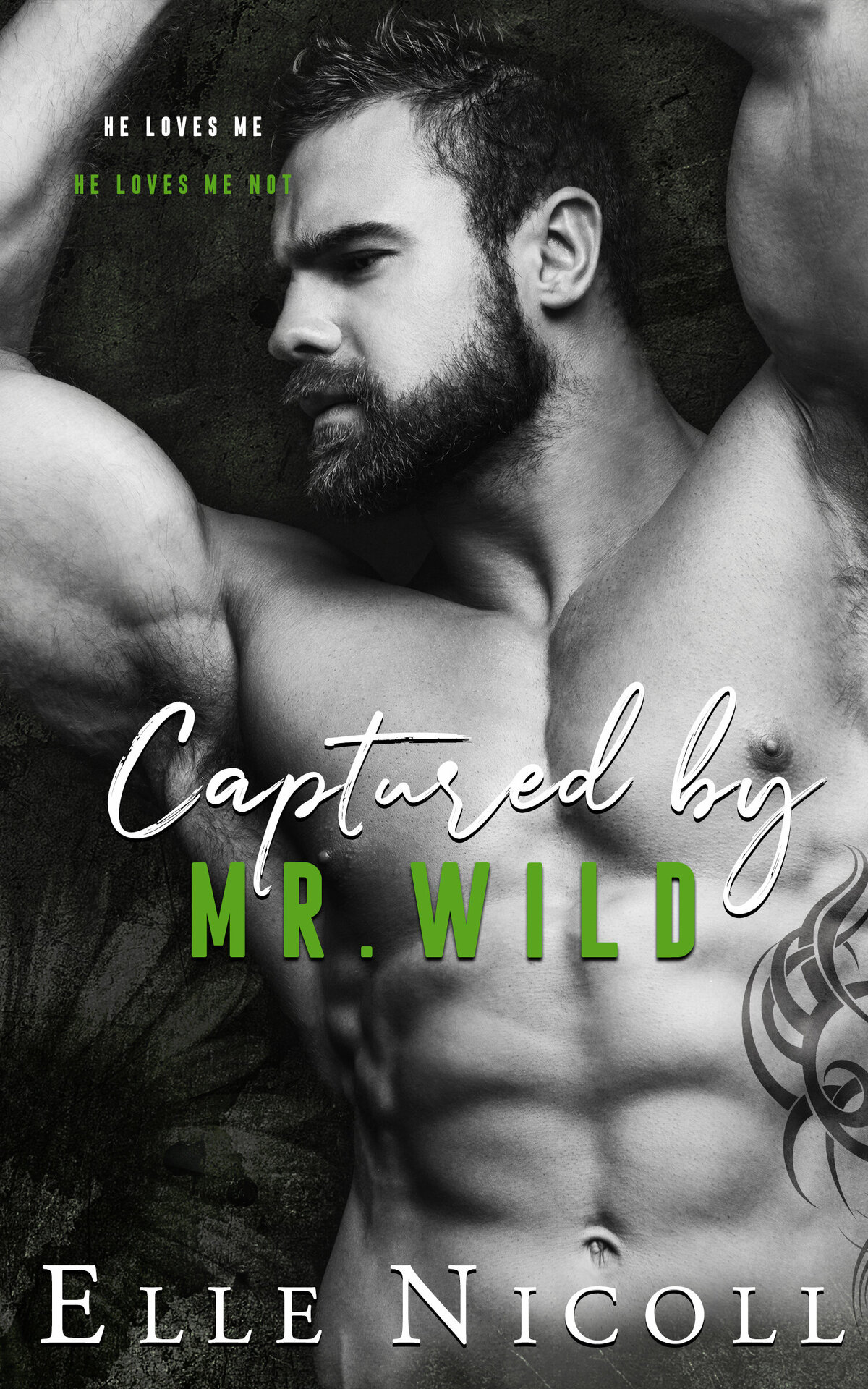 Captured by Mr. Wild Ebook