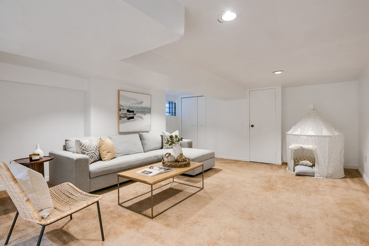 46-web-or-mls-60_002_Lower Level