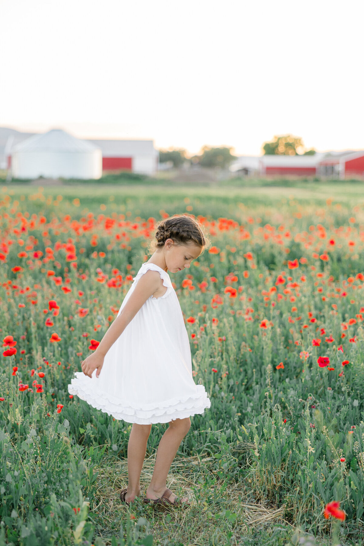Poppy Field Family Photos-35