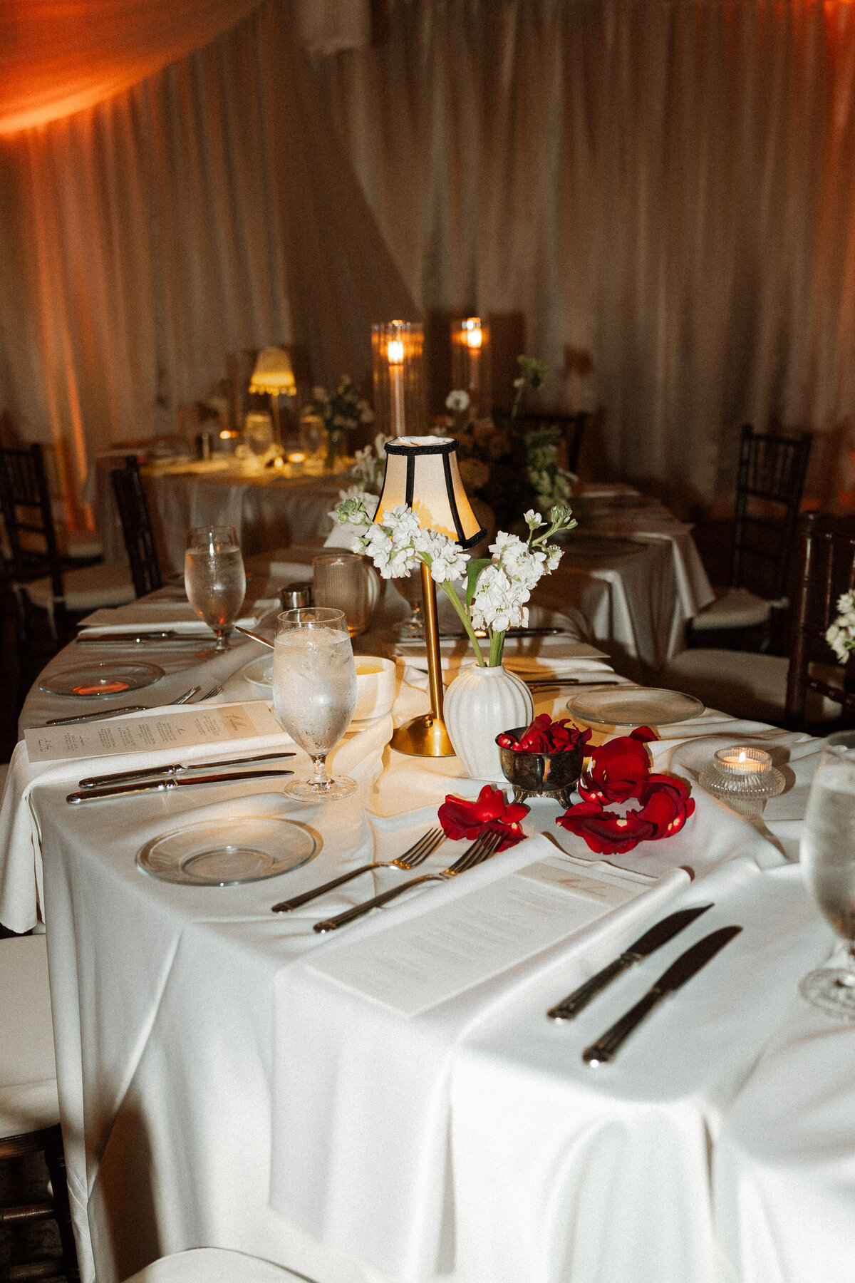 Ashley J Photo -5879