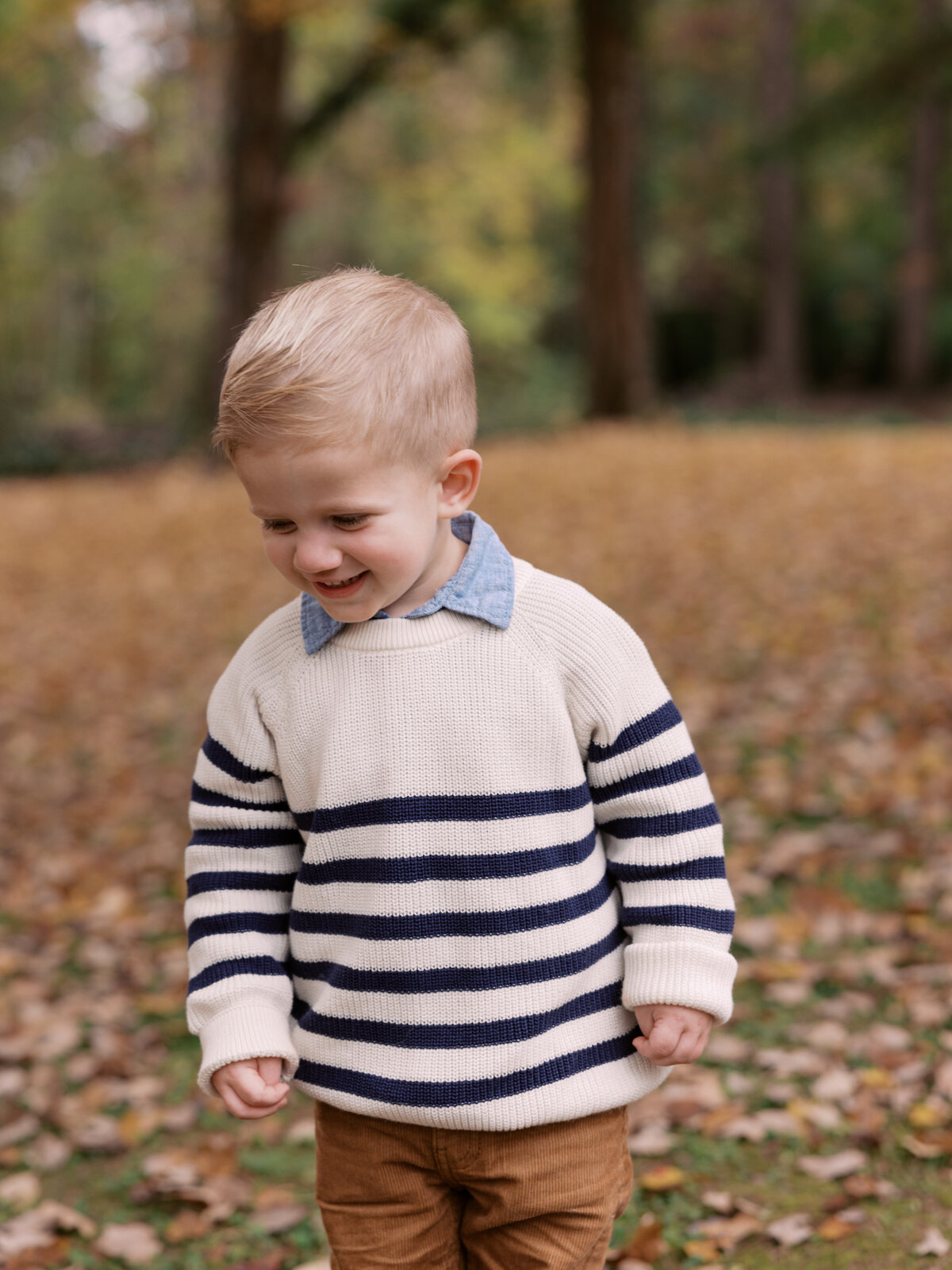 Smith_Mini_Fall_2024_Abigail_Malone_Photography-70