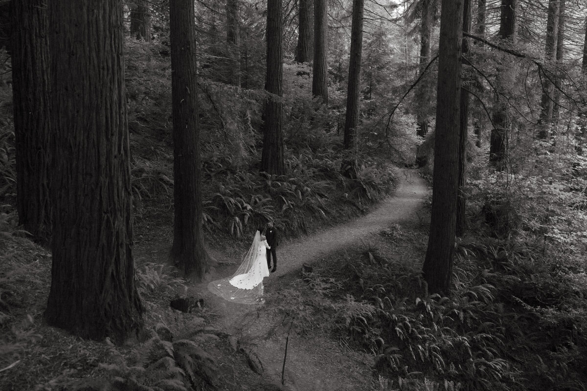 Elopement-PNW-Hoyt-Arboretum-Oregon-Elopement-Photographer-Tessa-Marie-Collective