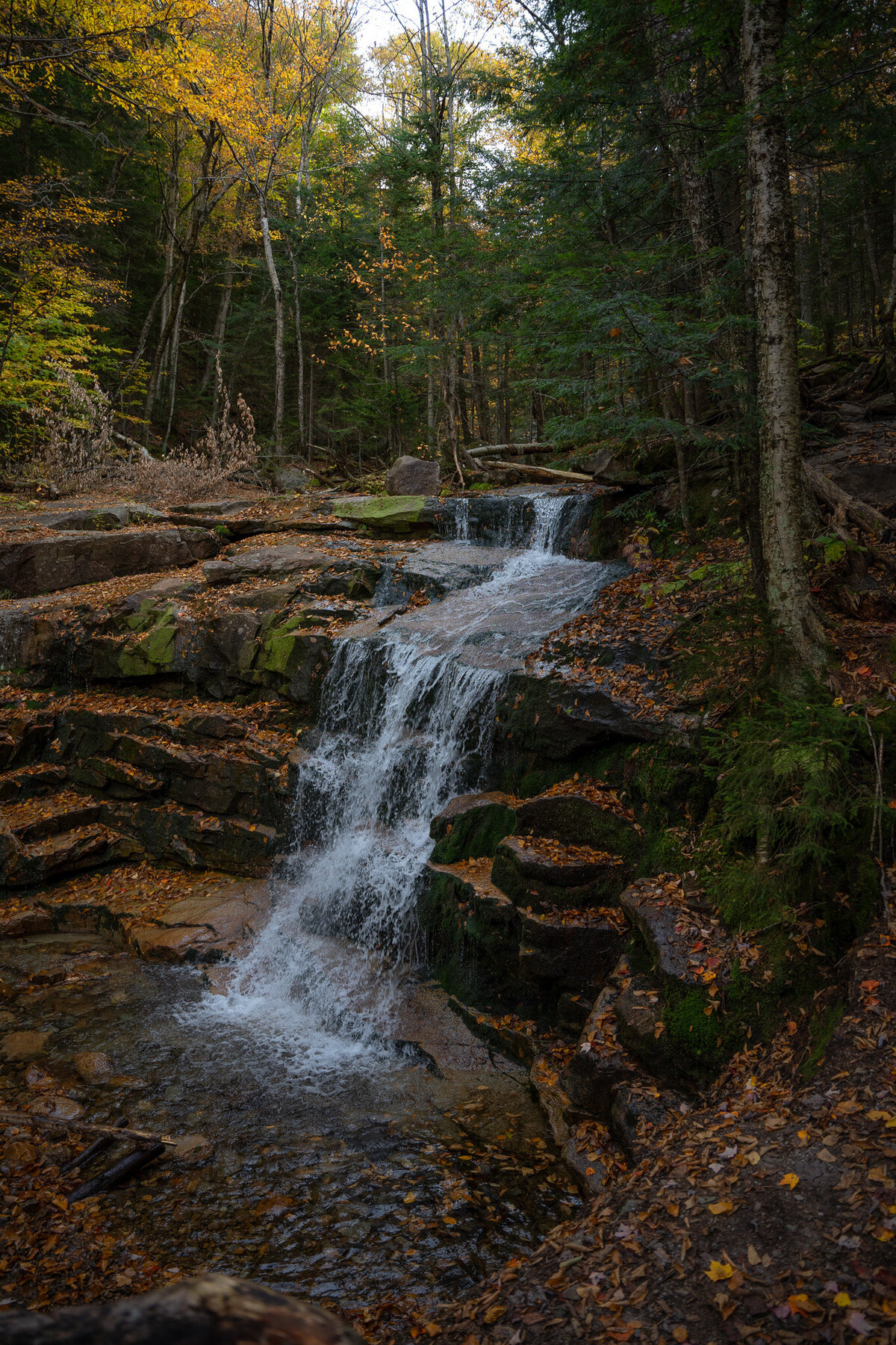 meredith-ewenson-franconia-ridge-loop-new-hampshire-white-mountains-falling-waters-trail