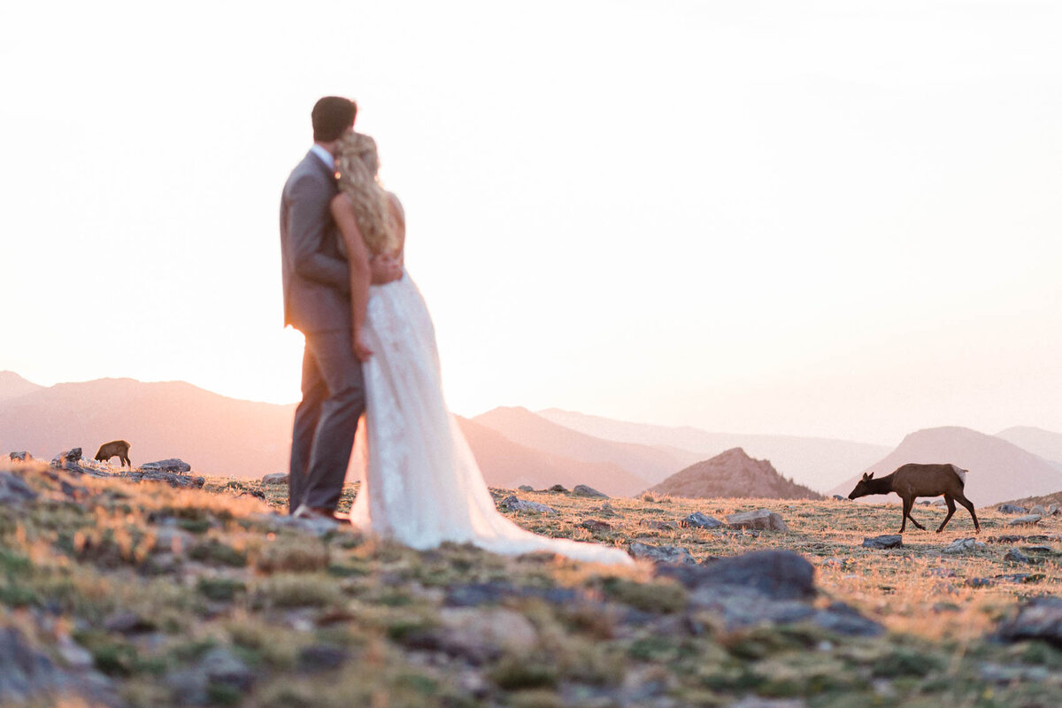 rocky_mountain_national_park_trail_ridge_road_summer_sunrise_elopement_by_colorado_wedding_photographer_diana_coulter-12