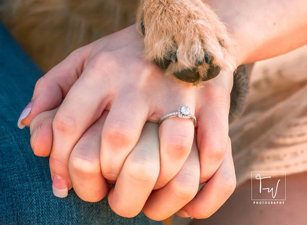 Tanni_Wenger_Photography Engagement_Photographer I_Do Wedding_Day Wedding_Photographer  Pet_Photographer