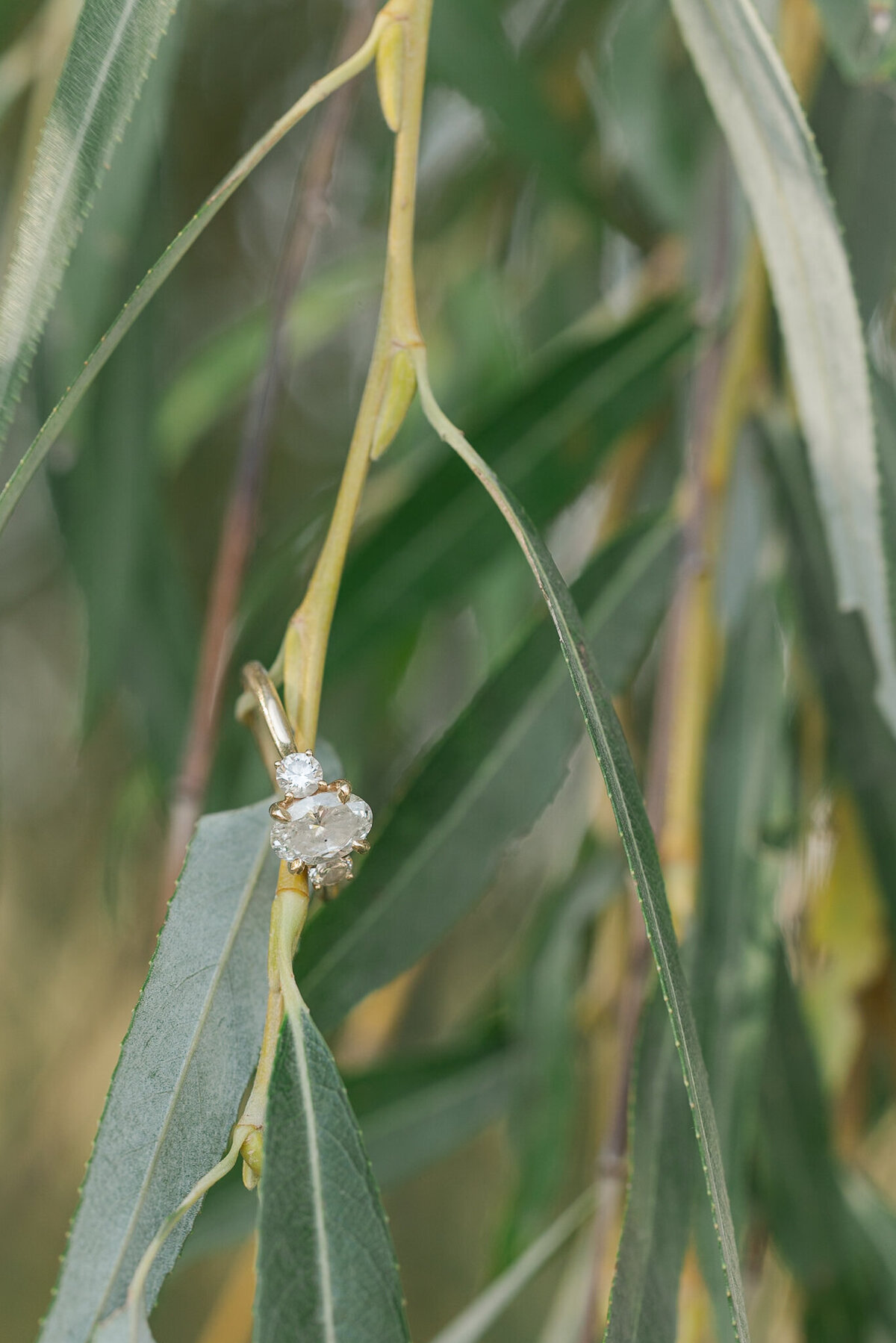 216- Deanna + Brett- Koral Hull Photography - 20241012
