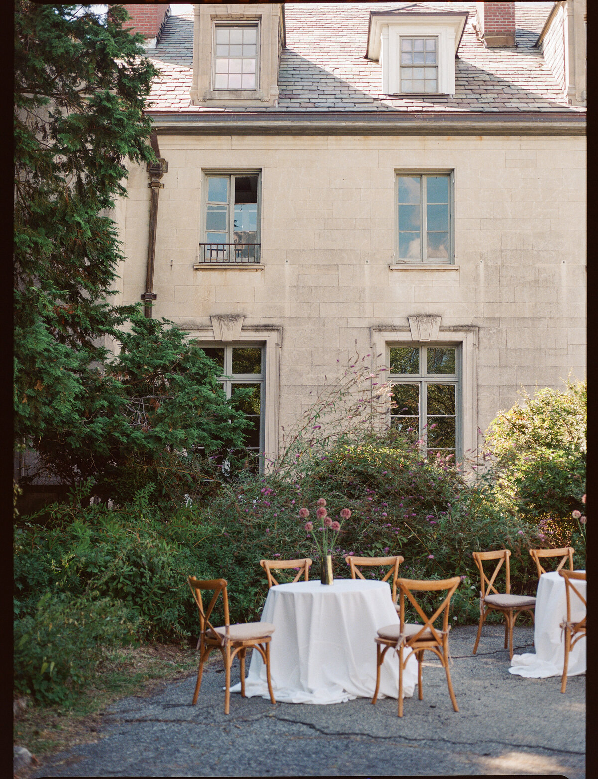 kodak_800_c_41_Daniel Jacknot_27681_103558_231797_002317970001