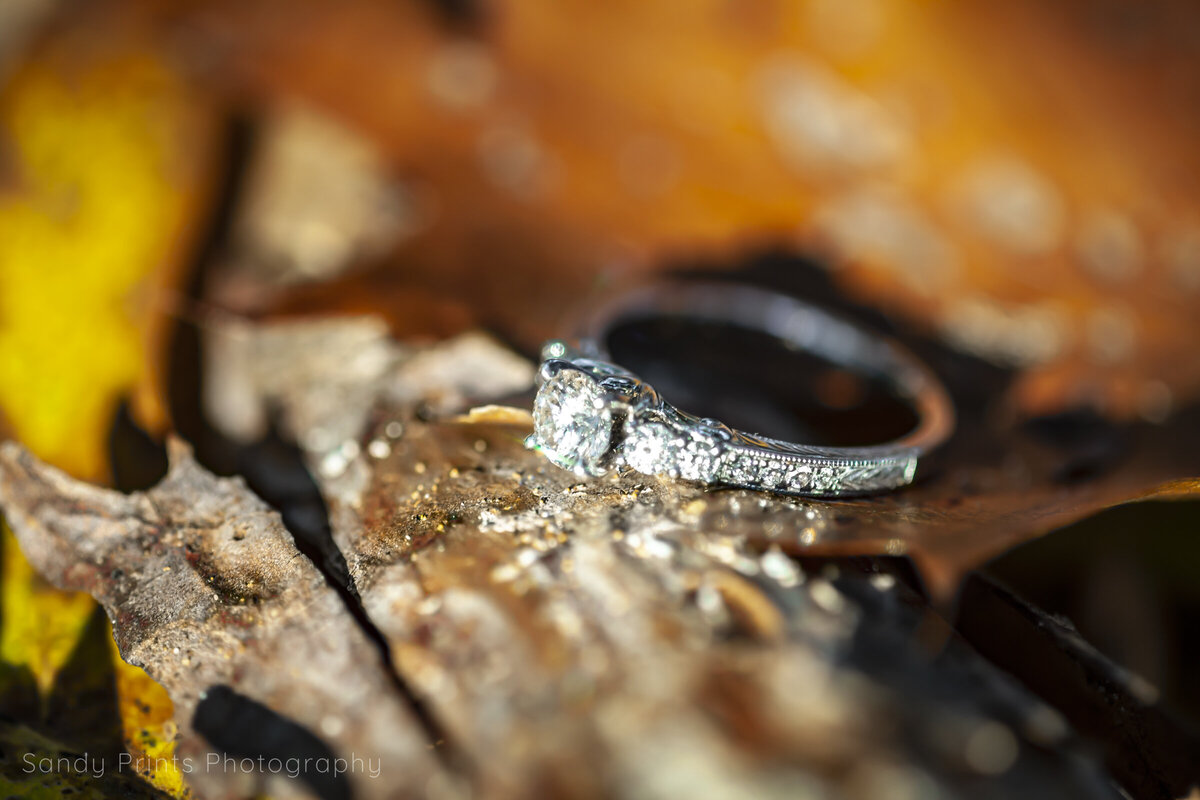 20181021-2018_10-Laura &  Javin Engagement Session 5090-Edit