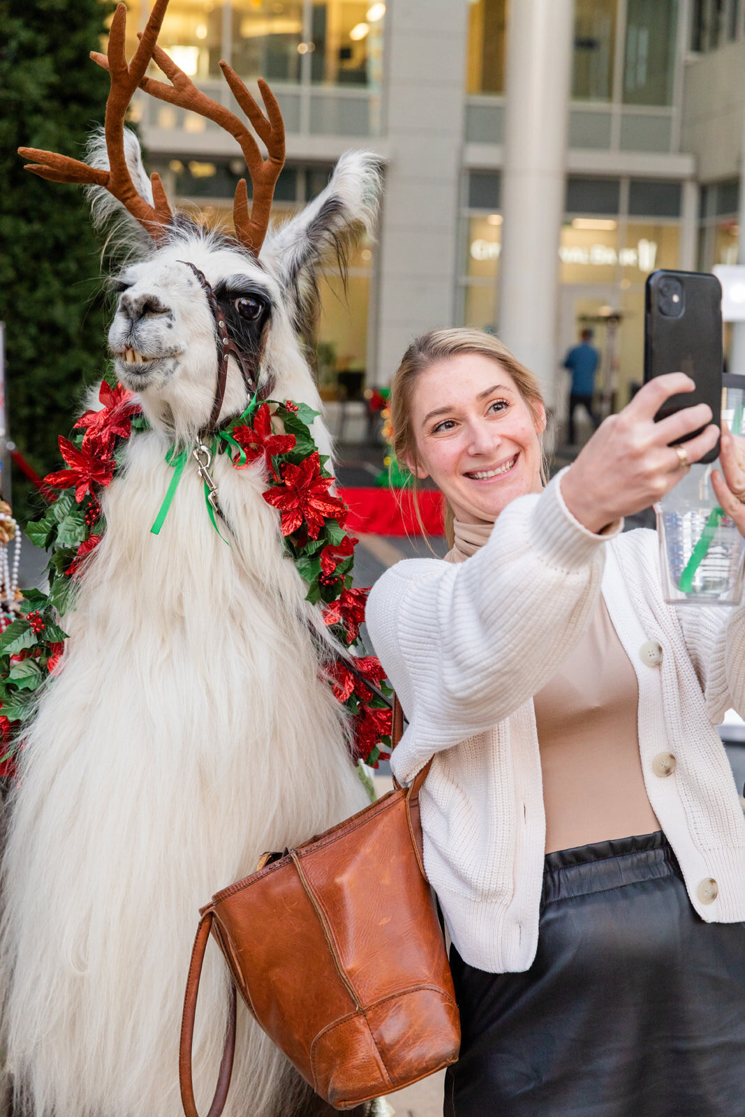 woman taking selfies in front of a lama and a Christmas tree