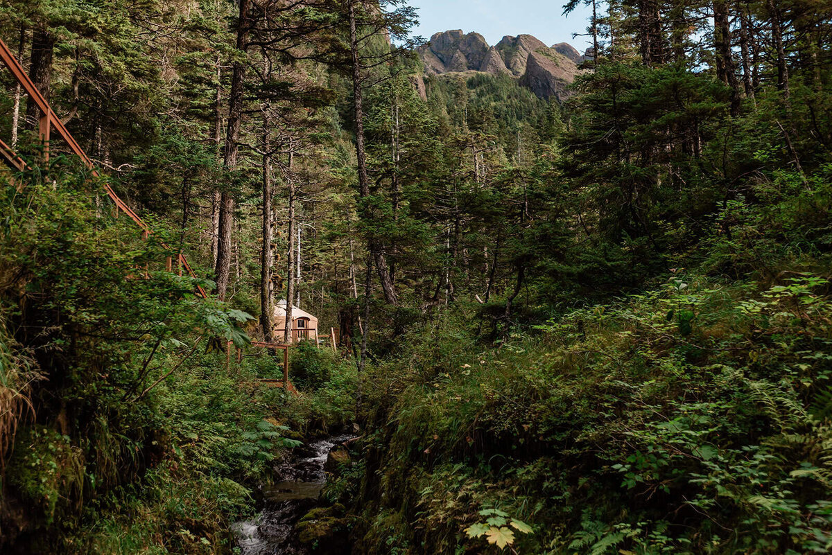 Looking back into a lush green vegetation in Kenai Fjords, you can see a hidden yurt for the guests of an intimate destination wedding in Alaska peeking from the trees next to a babbling brook.  