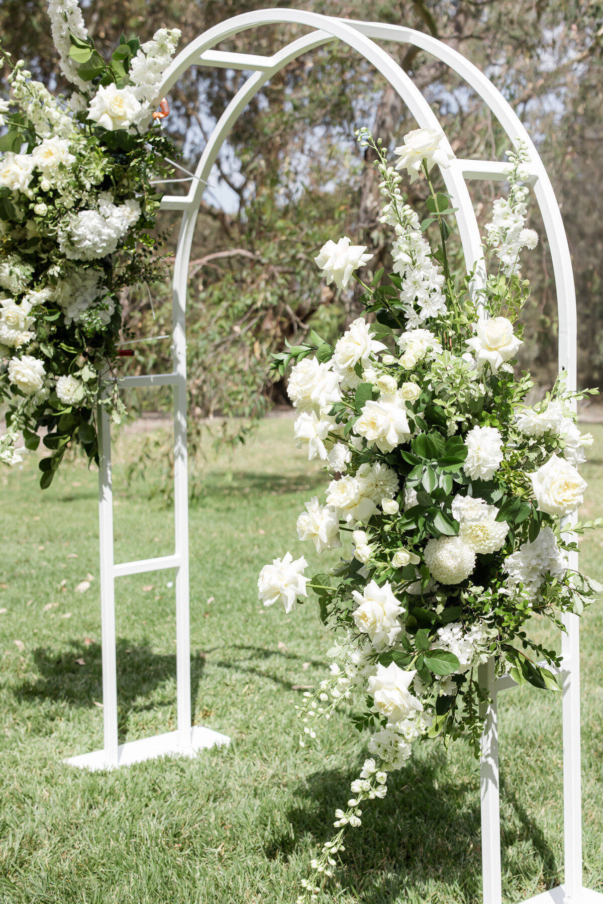 Geelong Photographer_22