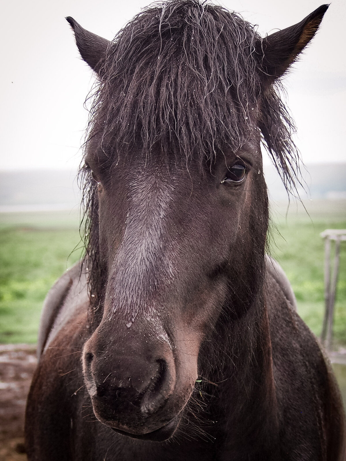 Iceland for Website-04