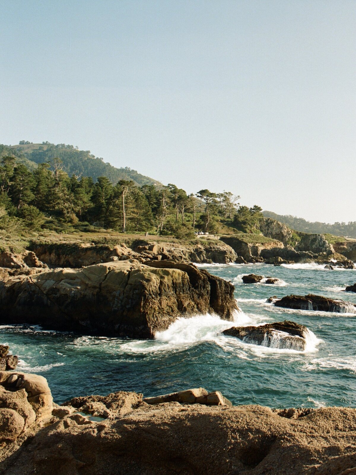 Golden hour light falling across the rugged cliffs of Point Lobos in Carmel, captured in a candid, documentary style by Kate Winters Photography.