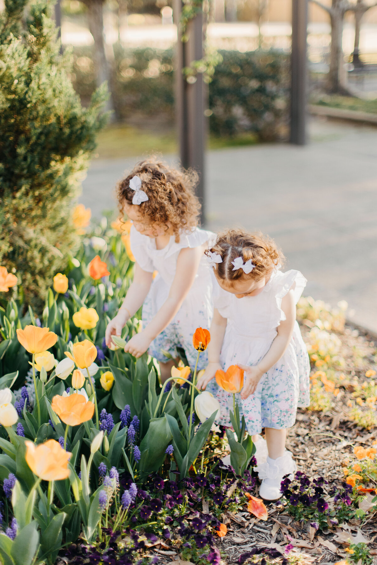 SAMSIKESPHOTO-53163