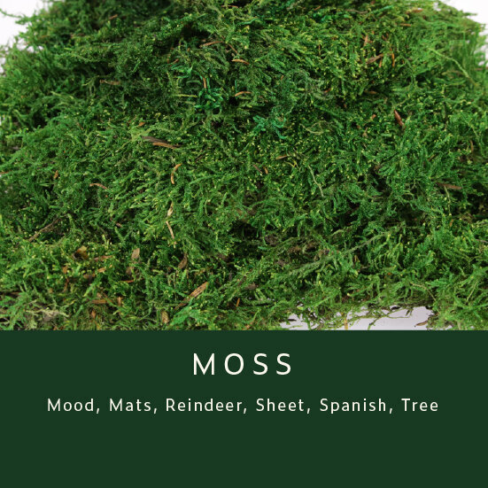 Greenery-Moss