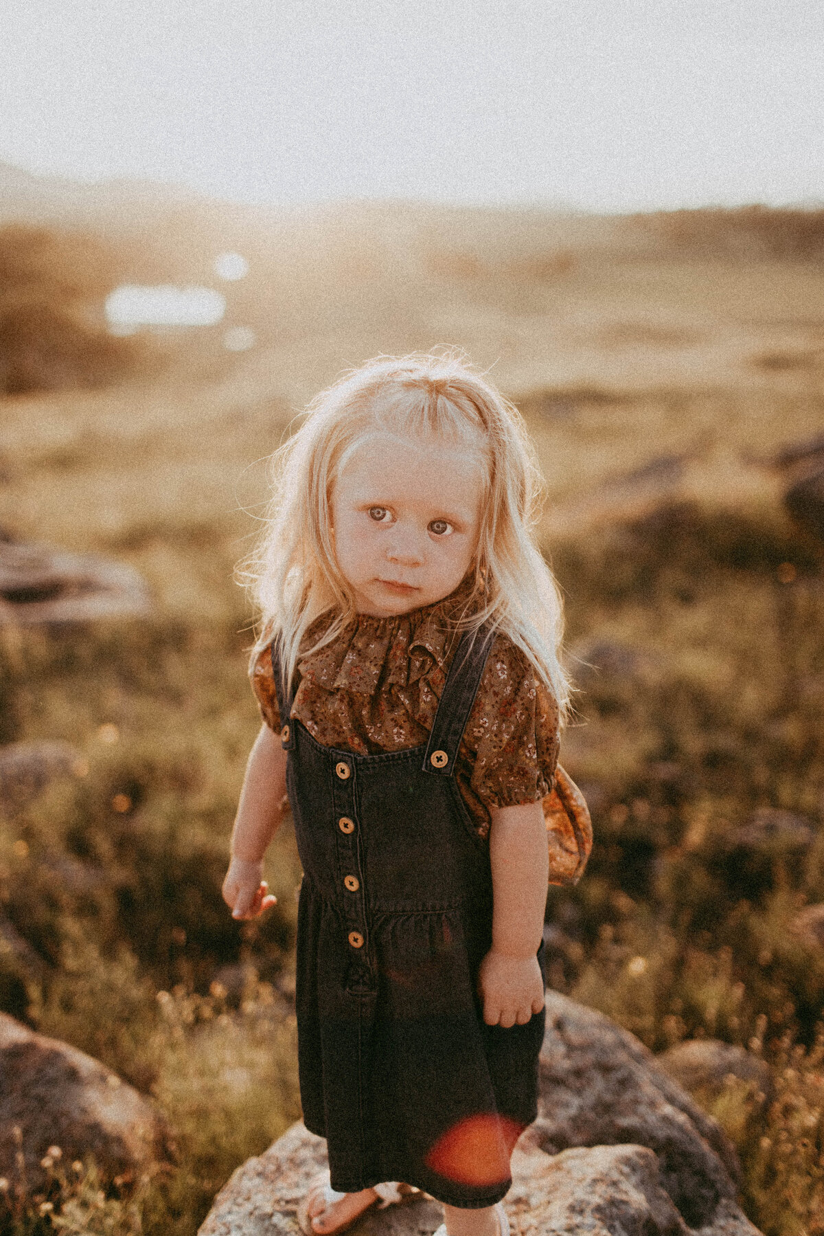 362A1617-Edit