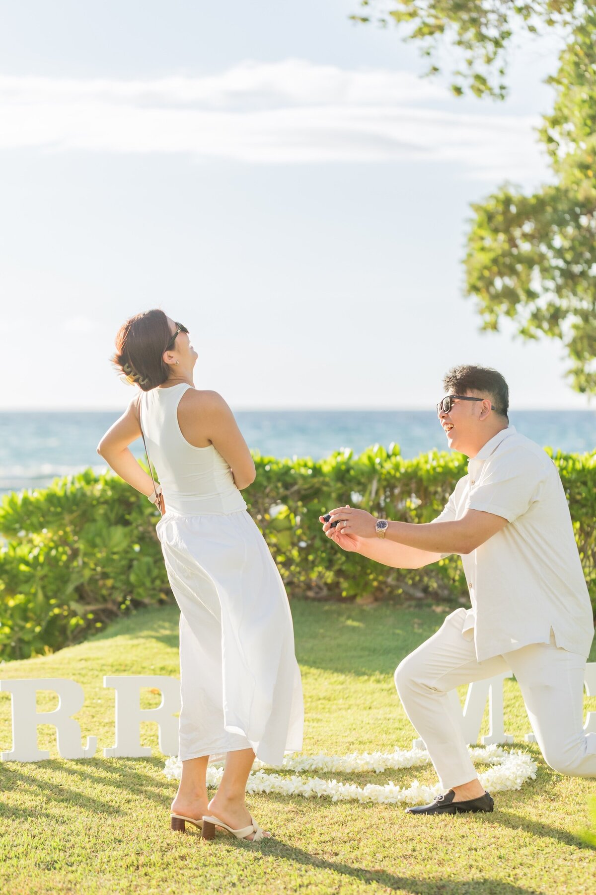 Scenic oceanfront proposal in Hawaii