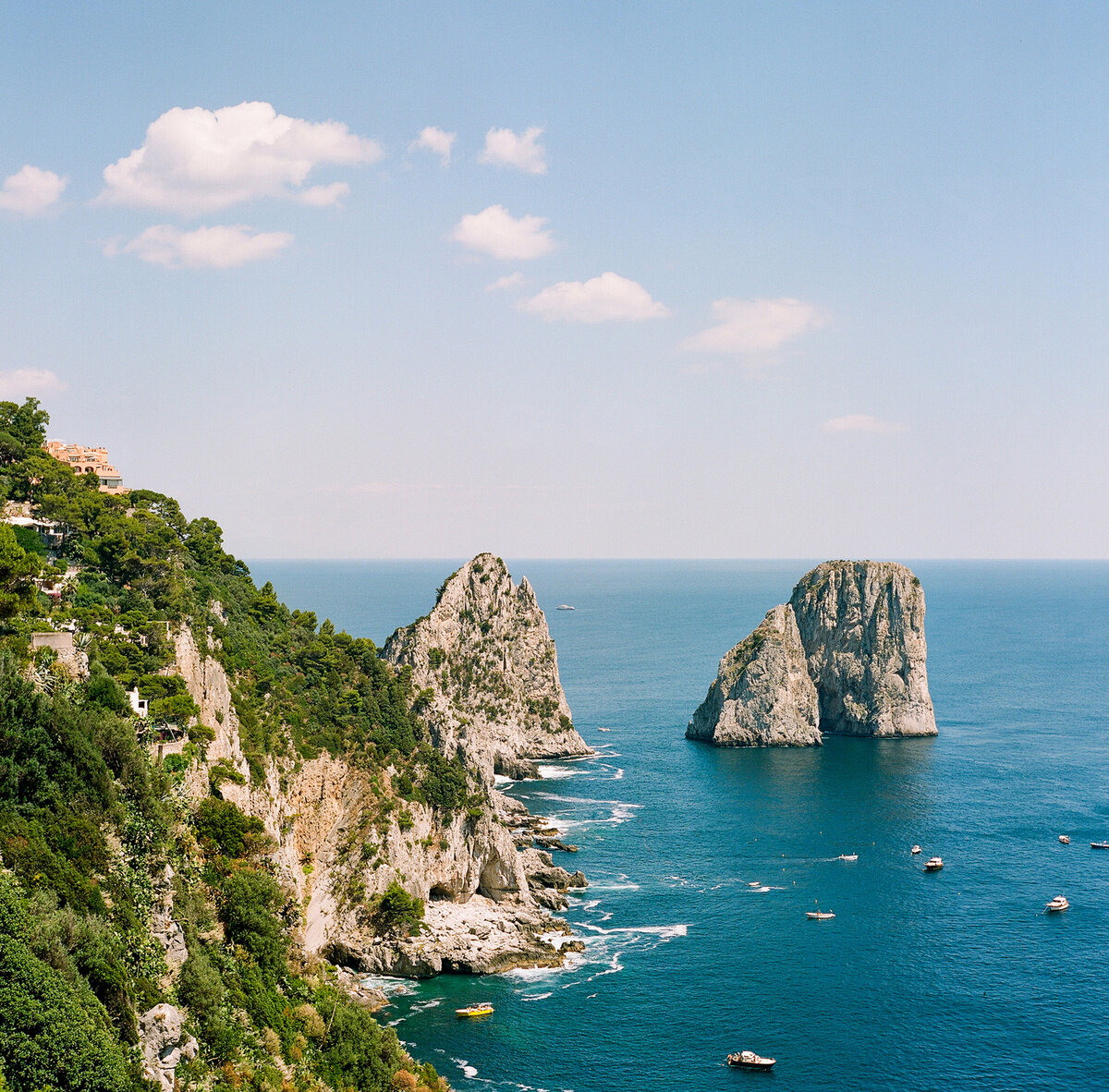 Taryn + Brendan Film Scans 060