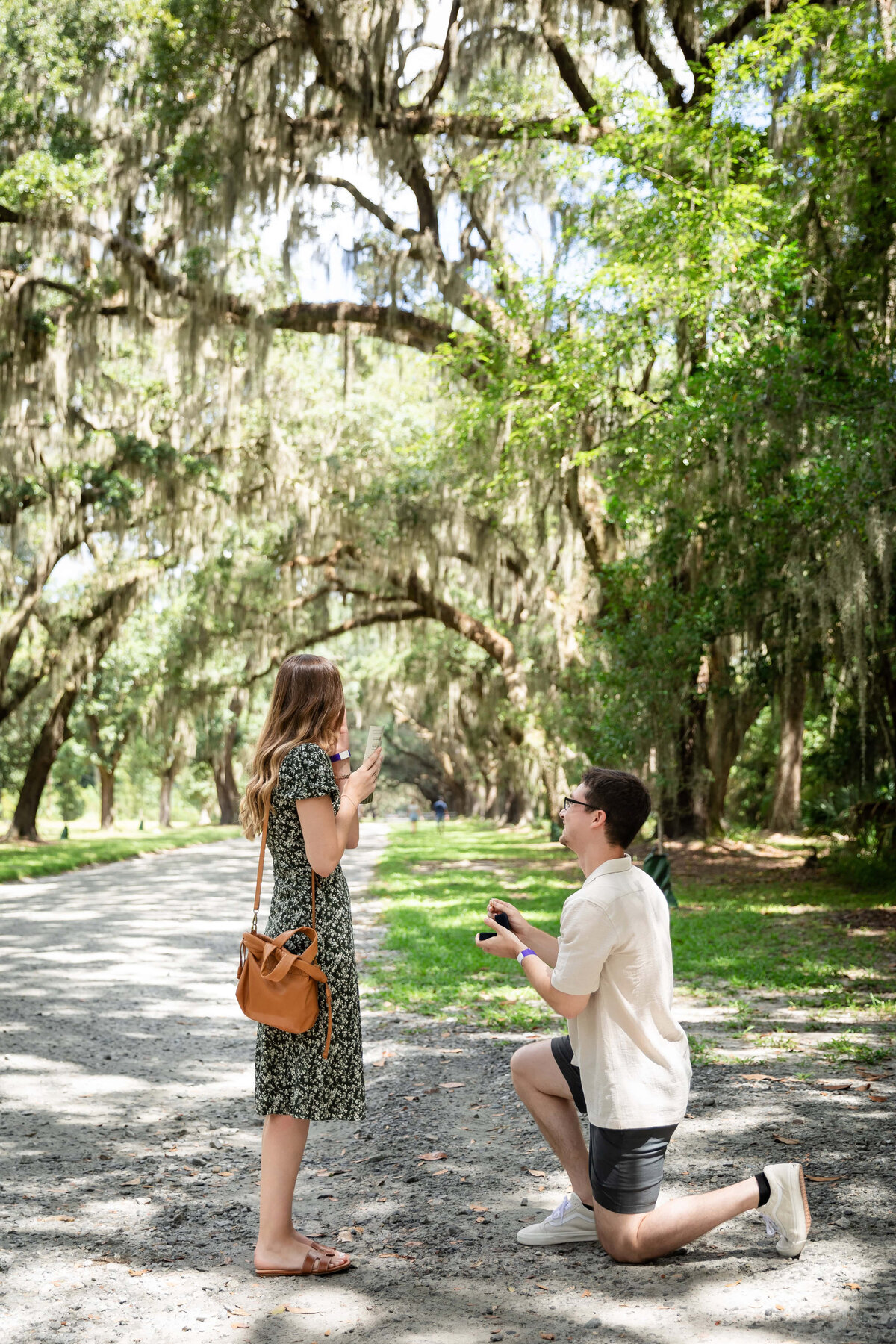 Surprise proposal at Wormsloe Historic Site, Savannah GA