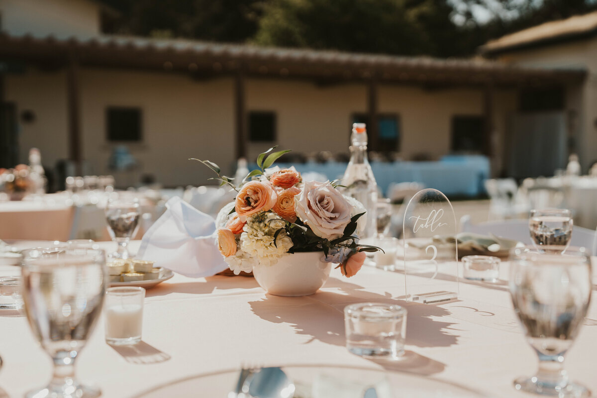 Londen-Craig-Borba-Green-Mountain-Retreat-Wedding-Gallery-369