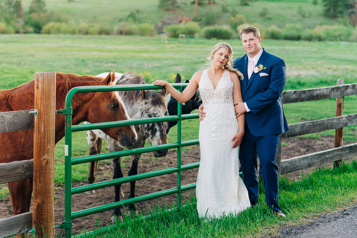 Bride and Groom with horses