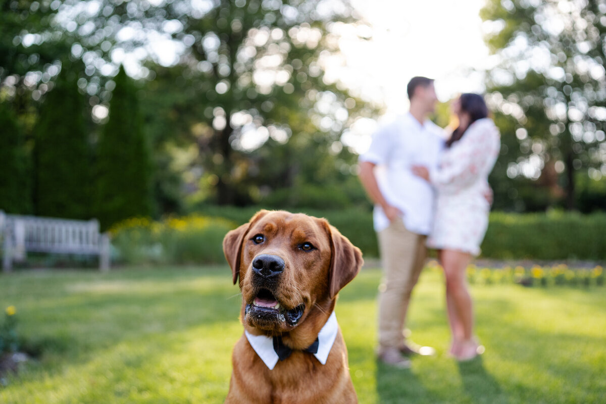 heather-vin-engagement-session-ringwood-nj-ralph-depiro-photography