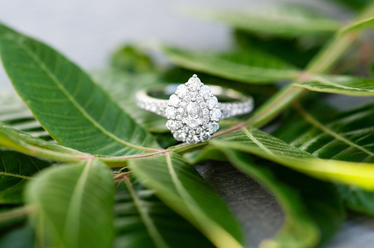 pear halo engagement ring on greenery