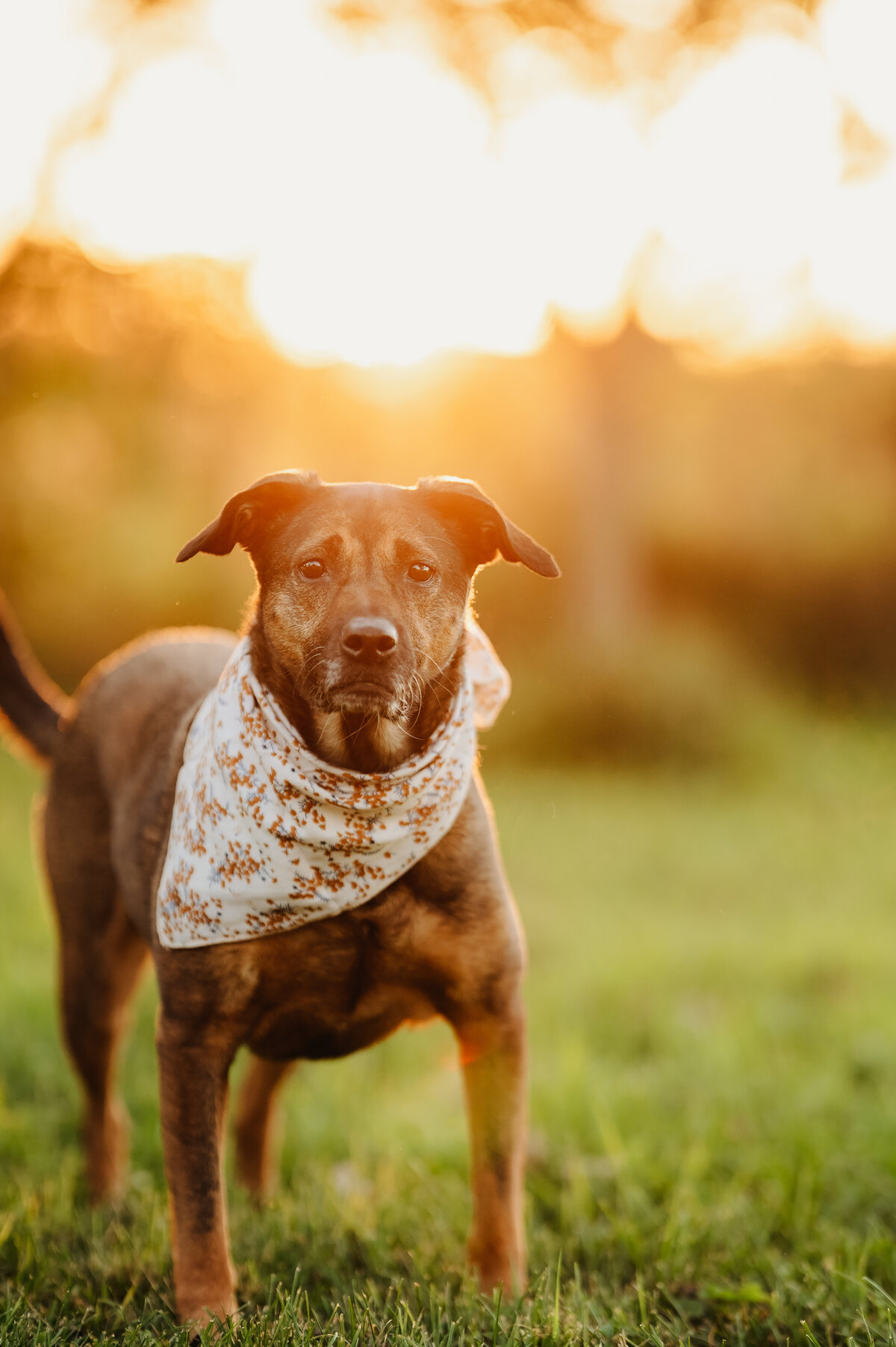 NicoleS_Fall2025_132