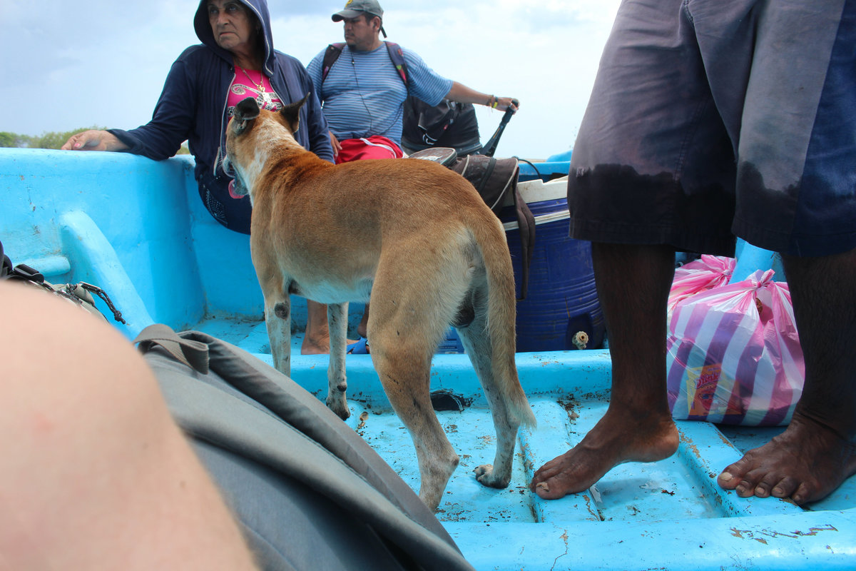 Wade_Muir_Photography_Places-edits-21