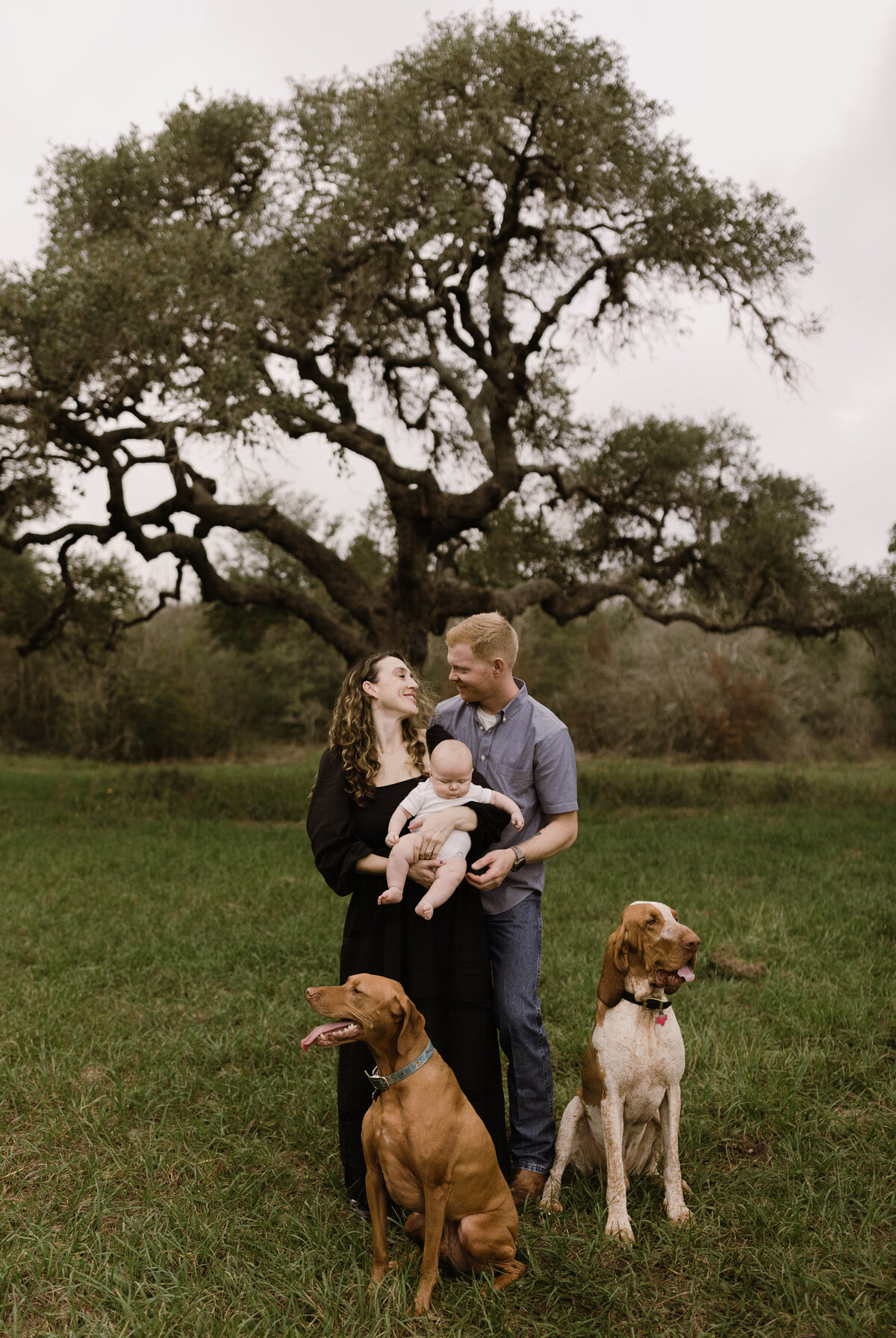 Mother and father with baby and two dogs at Austin family photo session