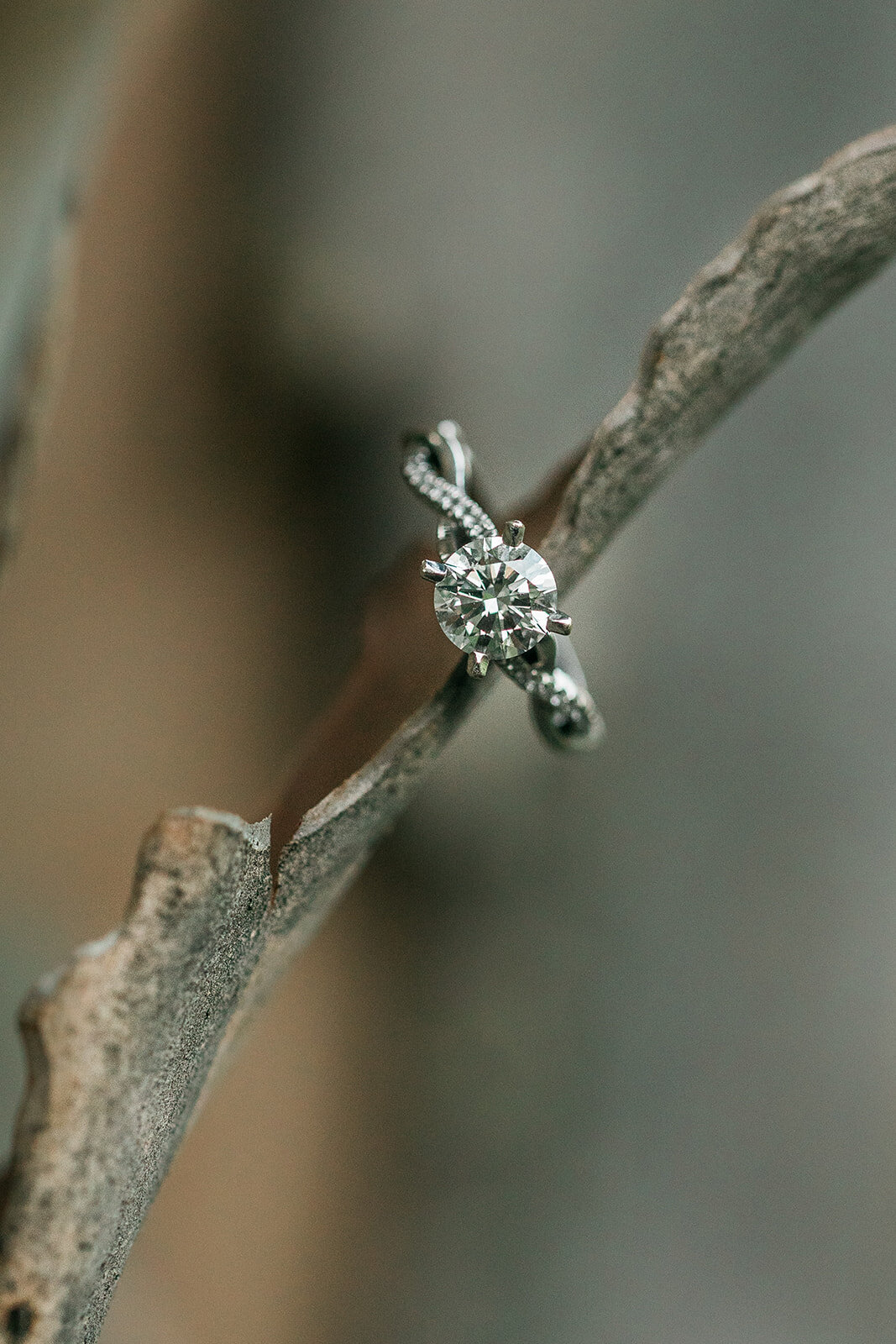 RussandSaraEngagement-232_websize