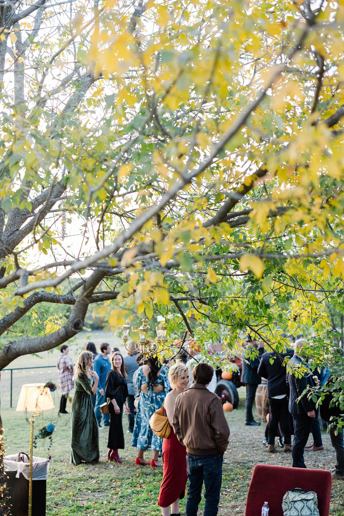 A candid moment of cocktail hour at a wedding in Fort Worth, Texas. Many guests mingle outside with a multitude of varying decorations. The whole scene is framed by a large tree branch.