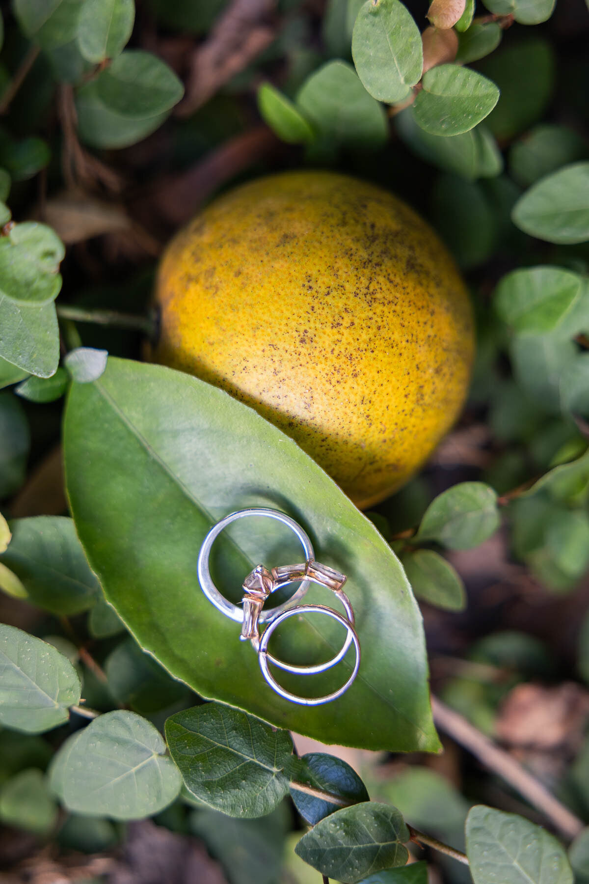 Best-Atlanta-Wedding-Photographer-51