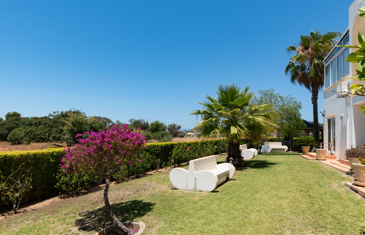 Vila-Mimosa-2