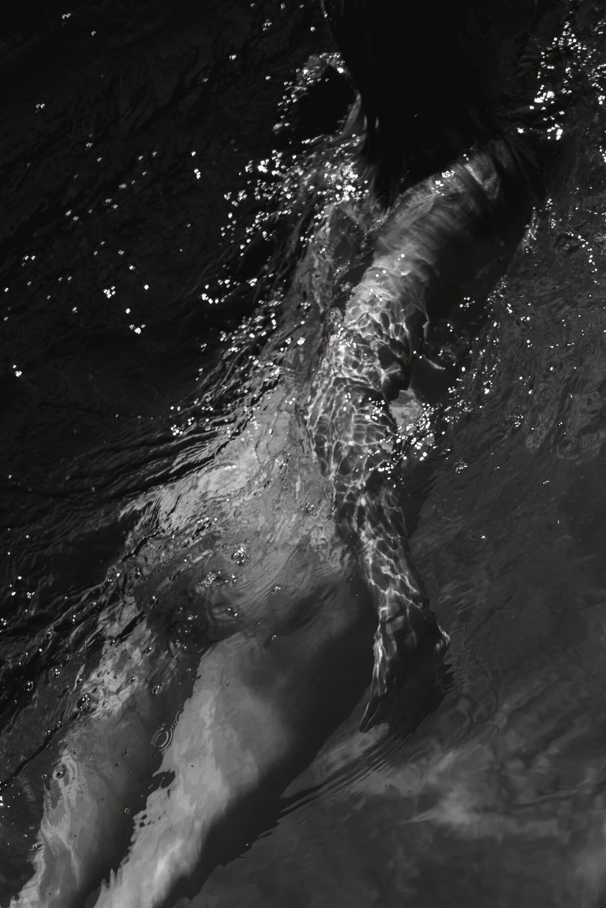 stefaniedewelphotography-57 32
